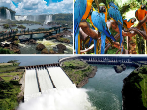 Transporte Cataratas Brasileiras + Parque das Aves + Visita Panorâmica de Itaipu