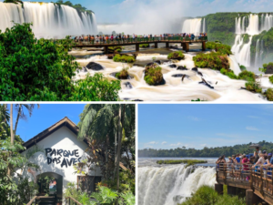 Transporte In e Out + Cataratas Brasileiras + Parque das Aves + Cataratas Argentinas (sem ingressos)